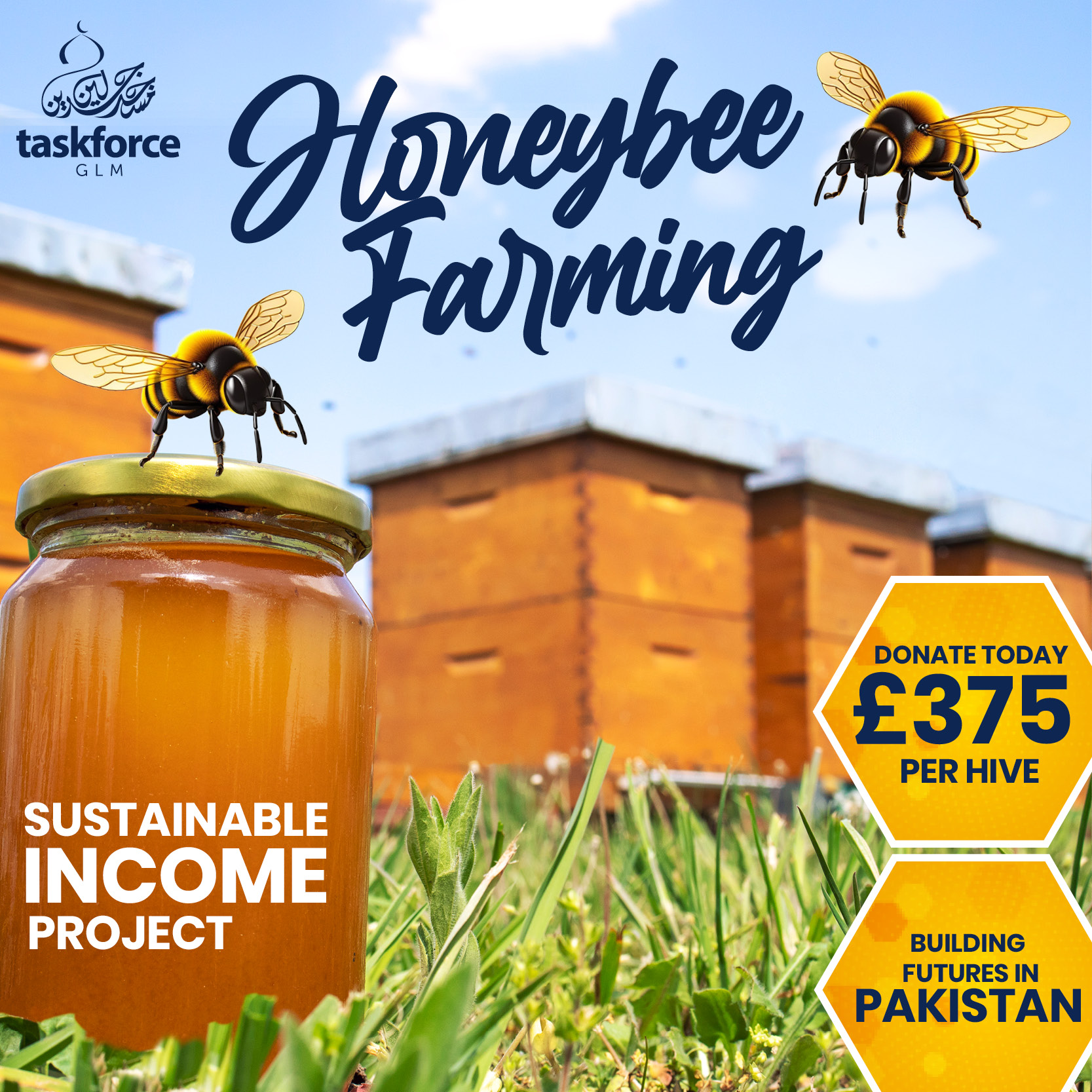 Honeybee Farming Pakistan